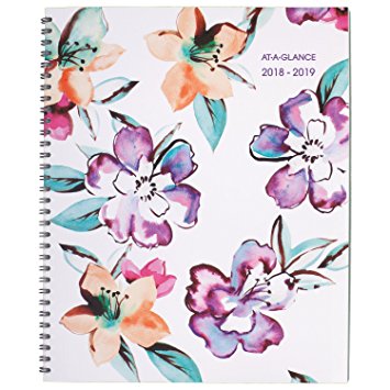 AT-A-GLANCE Academic Monthly Planner, July 2018 - June 2019, 8-1/2" x 11", June Style (1012-900A)