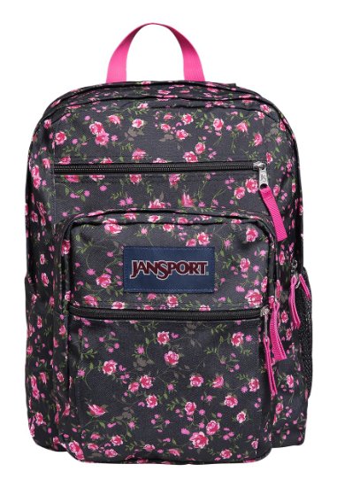 JanSport Big Student Classics Series Daypack