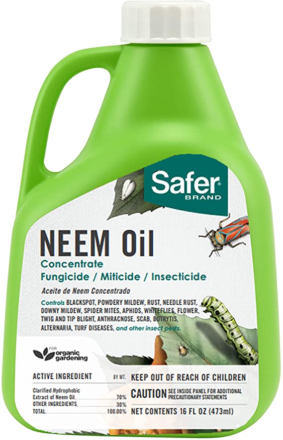 Safer 5182-6 Brand Neem Oil Concentrate,Green