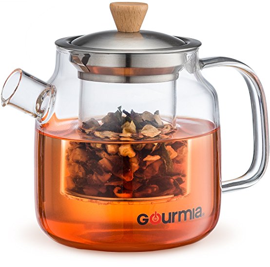 NEW & IMPROVED Gourmia GTP9810 Glass Tea Pot & Infuser With Handle, Lid & Loose Tea Filter, Removable Glass Infuser, 680ml Capacity