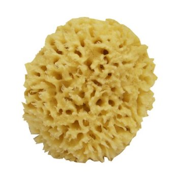 Swissco Sea Wool Natural Bath Sponge 5 Inches