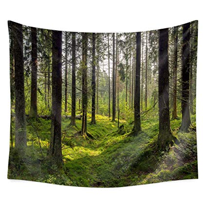 QuanCheng Forest Tree Wall Hanging Tapestry Nature and The Forest's Ultimate Landscape Tree of Life Tapestry Wall Art for Bedroom Living Room Dorm.Green 78x59Inch