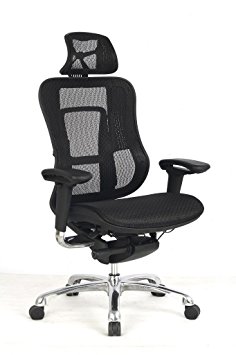 Viva Chair Ergonomic Mesh Office Chair with Customizable Seat, Back, headrest and Armrest Positions