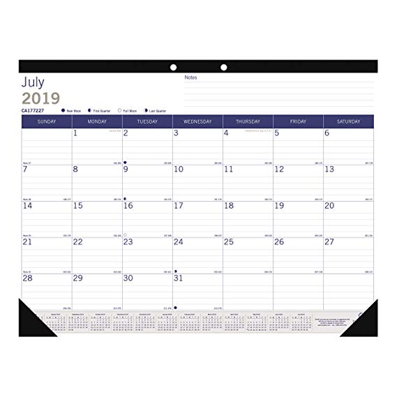 Blueline DuraGlobe Monthly Desk Pad, Academic Desk Calendar, 13-Month, July 2019 to July 2020, 22 x 17 Inches (CA177227-20)