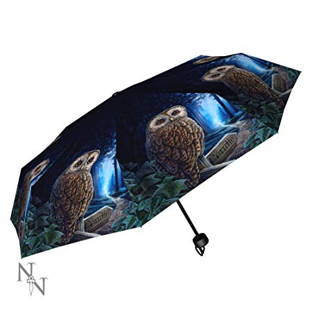 Lisa Parker Way of The Witch Umbrella