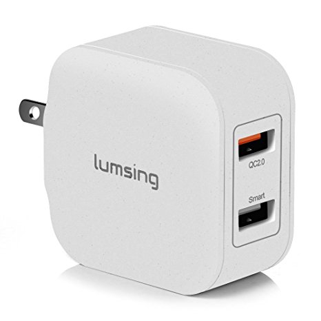 Lumsing Quick Charge 2 Port Wall Charger, 20W QC2.0 Dual USB Port Travel Charger for iPhone,Samsung Galaxy S5 S6 Edge Note 4 5, Google Nexus 6, Sony Xperia Z3 Z4 Tablet-Grey