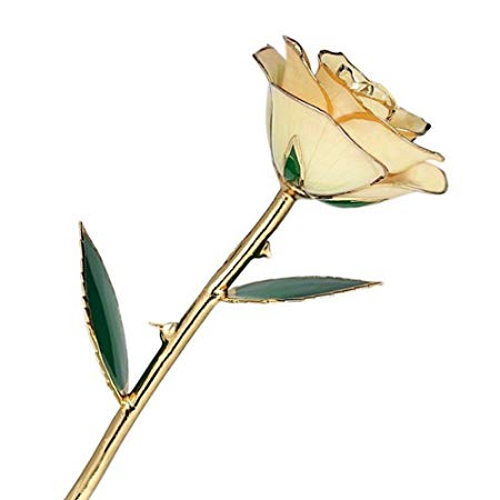 Gold Dipped Rose, Valentines Gifts for Her ZJchao 24 Carat Gold Dipped Real Flowers, Love Gift for Girlfriend Birthday Christmas Anniversary Day Home Office Decoration (White)