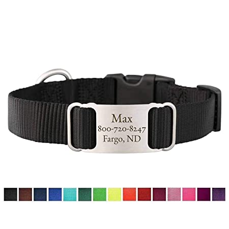 dogIDS Personalized Nylon Dog Collars- Built in Laser Engraved ScruffTag Nameplate