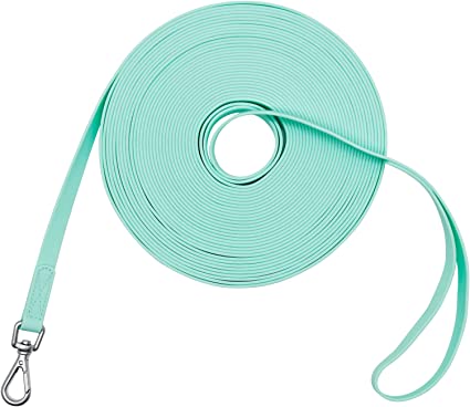 Waterproof Dog Training Leash 50FT 30FT 15FT 10FT 5FT Heavy Duty Recall Long Lead for Large Medium Small Dogs (30FT, Mint Green)