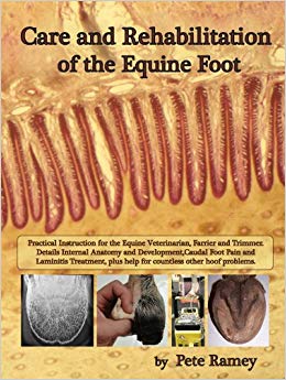 Care and Rehabilitation of the Equine Foot