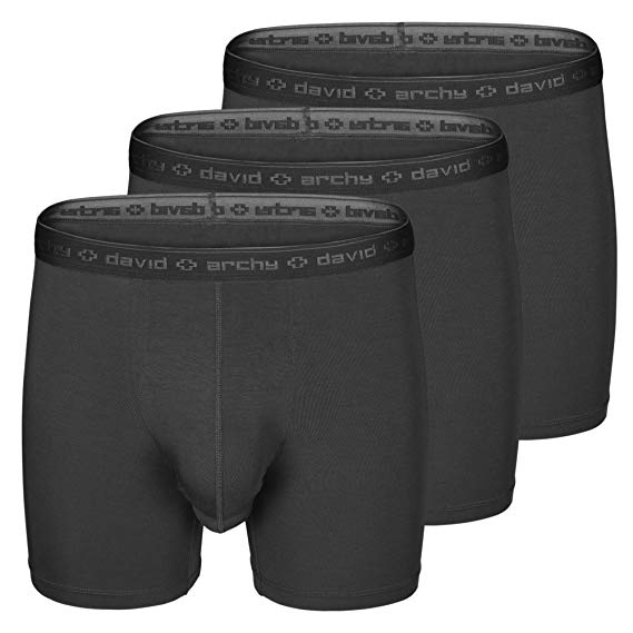DAVID ARCHY Men's Boxer Briefs Separated Pouches Micro Modal/Bamboo Rayon Ultra Soft and Breathable Underwear with Fly 3 Pack