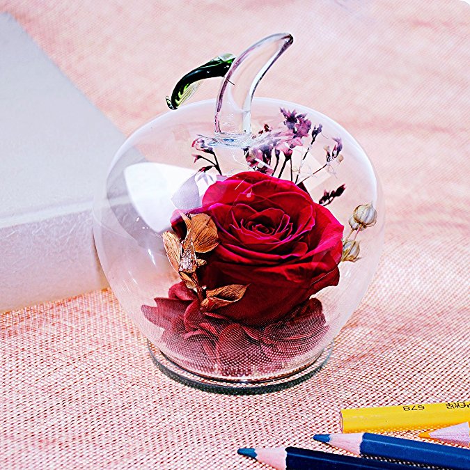 Ideashop Preserved Flower Rose Decor Never Withered Roses Upscale Immortal Flowers with Apple-shaped Glass Gift for Love Ones Valentine's Day Christmas Eve Anniversary Holiday Present Birthday (Red)