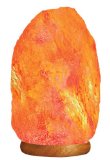 Himalayan Natural Crystal Salt Lamp with Bulb and Cord  10 Inch Tall - By Yogavni8482