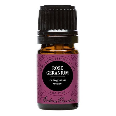 Rose Geranium 100% Pure Therapeutic Grade Essential Oil by Edens Garden- 5 ml