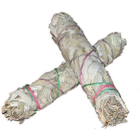 Pack of 2: WHITE SAGE Quality by Native Spirit XL Smudge Stick 7''-8'' (~18-21cm; je ~40-55gr) Incense fresh from California, buffalo sage, indian sage, wands