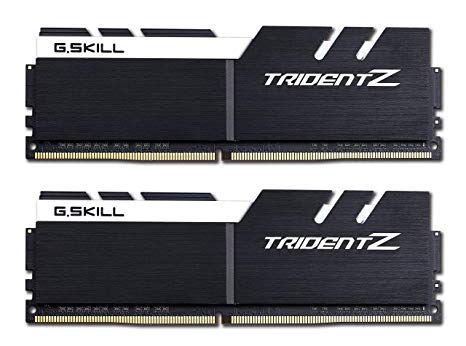 G.SKILL F4-3200C16D-16GTZKW Trident Z Series 16GB (2 x 8GB) 288-PinDDR4-3200MHz, White and Black