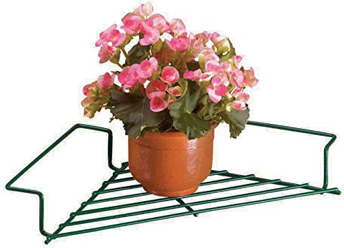 Miles Kimball Green Outdoor Plant Caddy