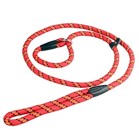 Zelta Adjustable 5-Feet by 3/8-Inch Width Nylon Walk Dog Lead Rope Leash, P-Leash and Collar in One