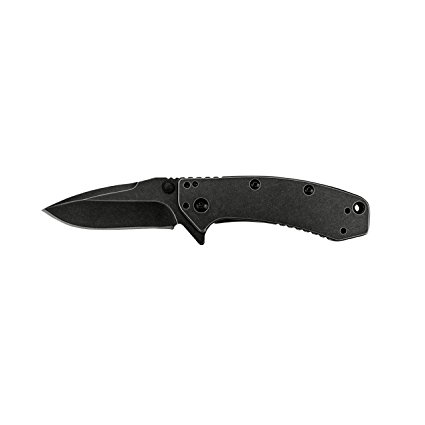 Kershaw Cryo Blackwash Clam