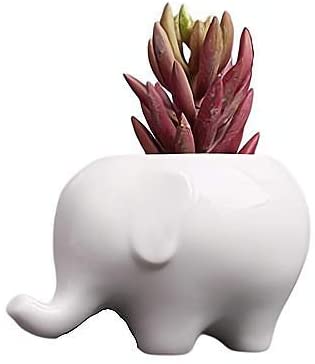 Everyday Better Life Cute Cartoon Animal Elephant Ceramic Succulent Cactus Flower Pot/Plant Pots/Planter/Container for Home Garden Office Desktop Decoration (White)