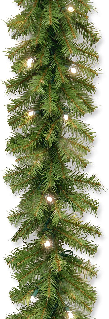 National Tree 9 Foot by 10 Inch Norwood Fir Garland with 50 Battery Operated Warm White LED Lights (NF3-308-9A-B)