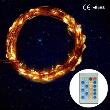 Diateklity LED Starry String Lights Copper Wire Waterproof Dcor Rope Lights for Garden Patio Tree Party Bedroom Xmas Decorations 33ft Bundle with UL Certified 36v Power Adapter