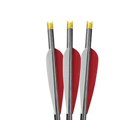 Lumenok 20-Inch Barnett Headhunter Equipped Crescent Bolt End (3-Pack) (Colors may vary)
