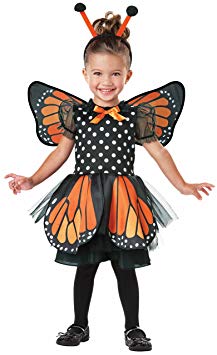 Seasons Beautiful Butterfly Pretend Play Costume