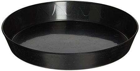 Gro Pro Plant Saucer, 8-Inch, Black