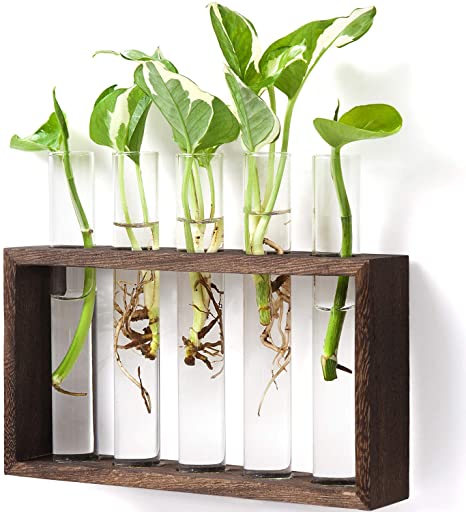 Mkono Wall Hanging Glass Planter Propagation Station Modern Flower Bud Vase in Vintage Wood Stand Rack with 5 Test Tube Tabletop Terrarium for Propagating Hydroponics Plants, Home Office Decoration