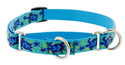 LupinePet Originals 3/4" Turtle Reef Pet Accessories for Dogs