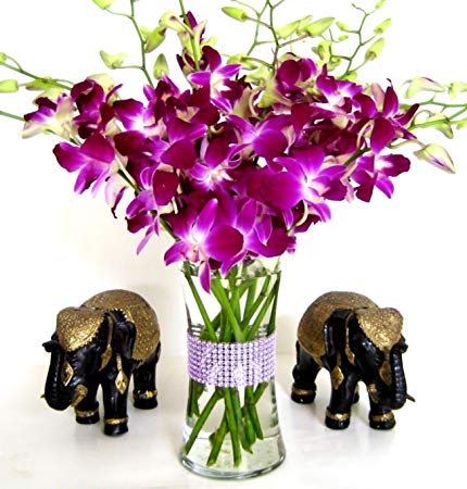 Purple Dendrobium Orchids (10 stems Orchid with Rhinestone Mesh Ribbon Vase)