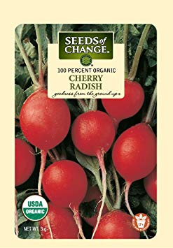 Seeds of Change 01467 Certified Organic Radish, Cherry