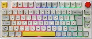 EPOMAKER Theory TH80 PRO ISO UK Layout 75% Hot Swap RGB 2.4Ghz/Bluetooth 5.0/Wired Mechanical Keyboard with MDA PBT Keycaps, Knob Control for Windows/Mac (Flamingo Switch)