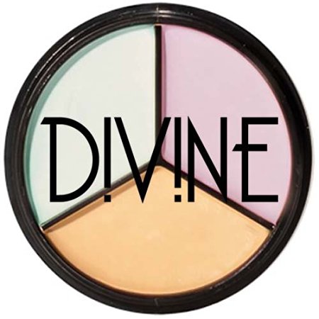 Divine Skin & Cosmetics Concealer Pro Palette 8.5G Correct & Conceal