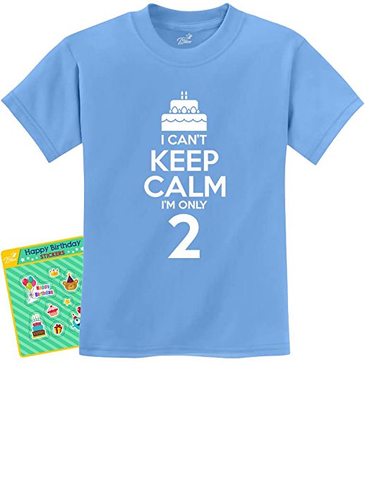 Birthday Cake Can't Keep Calm I'm Only 2 Children Cute 2 Years Old Kids T-Shirt