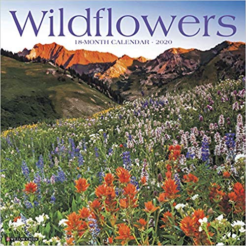 Wildflowers 2020 Wall Calendar