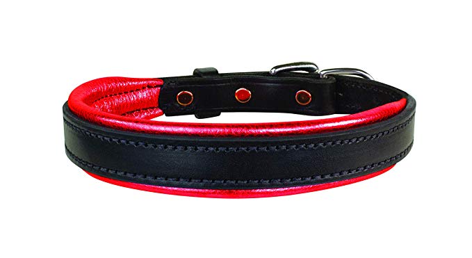 Perri's Padded Leather Dog Collars in Metallic and Bold Non-Metallic Colors