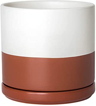 Ceramic Planter Pot with Drainage Hole and Saucer, Indoor Cylinder Round Plants Pot, 6 Inch, Terracotta/White