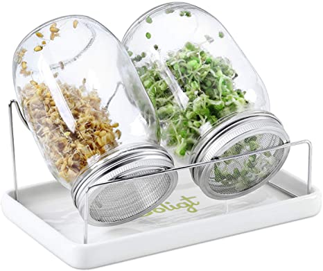 Complete Mason Jar Sprouting Kit - 2 Wide Mouth Quart Sprouting Jars with 316 Stainless Steel Sprouting Lids, Drip Tray and Stand