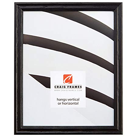 Craig Frames 200ASHBK 12 by 16-Inch Picture Frame, Wood Grain Finish.75-Inch Wide, Black