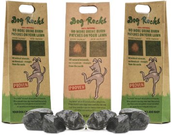 Dog Rocks Prevent Grass Burn Marks, 6 Month Supply, 200 Gram (3 Pack)
