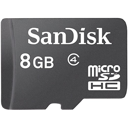 SanDisk 8 GB MicroSDHC Memory Card Only (Label May Change) - Standard Packaging