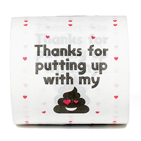 Valentine’s Day Toilet Paper Gag Gift – Thanks for putting up with my …