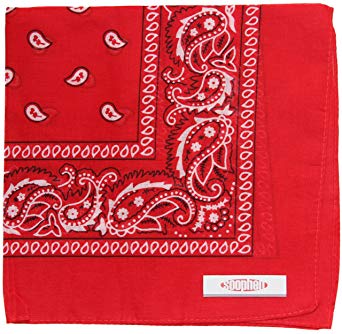 Soophen One Dozen Cowboy Bandanas 100% Cotton 22 x 22 inch