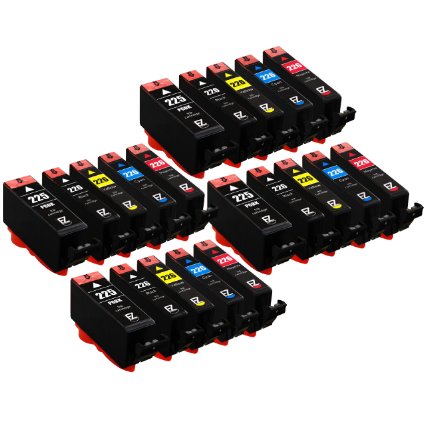 E-Z Ink (TM) Compatible Ink Cartridge Replacement for Canon PGI-225 CLI-226 (4 Large Black, 4 Cyan, 4 , Magenta4 Yellow, 4 Small Black) 20 Pack