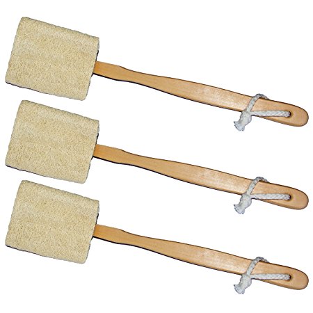 3 Pack Natural Exfoliating Loofah luffa loofa Bath Brush On a Stick - With Long Wooden Handle Back Brush For Men & Women - Shower Sponge Body Back Scrubber