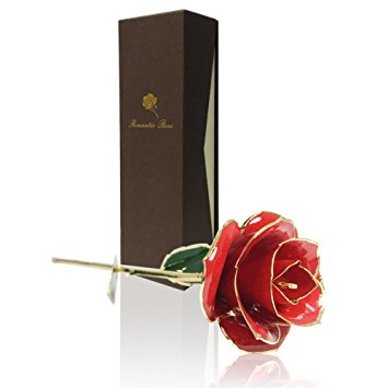 Rose Flower,Red rose,econoLed Best Gift for Valentine's Day, Mother's Day, Anniversary, Birthday Gift, Gift for Lover Mother Girlfriend, 24k Golden Plated Rose In Gift Box Red All Women Girl Gifts