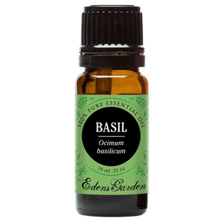 Basil 100 Pure Therapeutic Grade Essential Oil by Edens Garden- 10 ml