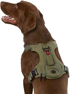 KONG Ultra Durable Waste Bag Harness (Medium, Green)